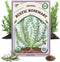 Organic Rosemary Herb Seeds for Indoor Gardening or Planting Outdoors, Non-GMO and USDA Certified Herb Seed Packets, 60 Seeds/125 mg (Rosemary)...