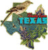 Galison Wendy Gold Texas Shaped Mini Puzzle, 100 Pieces, 8” x 9.75” – Die-Cut Jigsaw Puzzle Featuring Art by Bestselling Artist Wendy Gold – Makes...