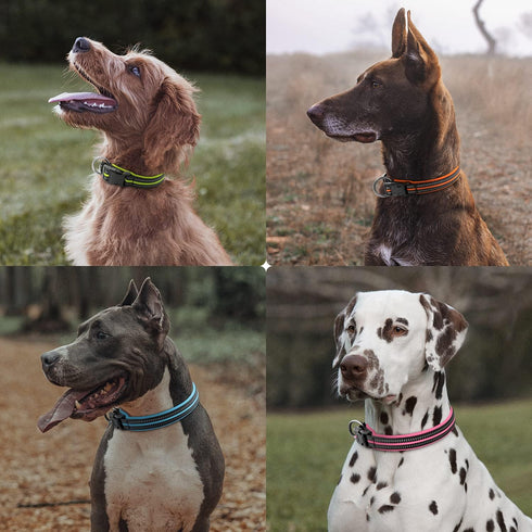 Reflective Dog Collar, Ultra Comfortable Soft Neoprene Padded Dog Collar, High Visibility Thick Nylon Dog Collars, Adjustable for Small/Medium/Lar...