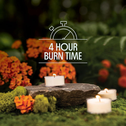 Murphy's Naturals Mosquito Repellent Tea Light Candles | DEET Free | Made with Essential Oils and a Soy/Beeswax Blend | 4 Hour Burn Time Per Candl...