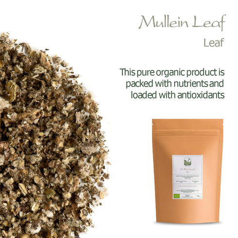 Mullein Leaf Organic Tea Herb - Gordolobo Tea Verbascum - Mullen Leaf Tea Mullien Leaf Mulein Leaf Mullier Mullin Leaf Mulien Muillen Tea Mullein ...