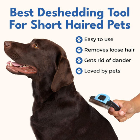 Deshedding Brush For Short Haired Dogs & Cats - Cat and Dog Brush For Shedding Short Hair - Highly Effective Deshedder Grooming Comb...