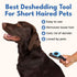 Deshedding Brush For Short Haired Dogs & Cats - Cat and Dog Brush For Shedding Short Hair - Highly Effective Deshedder Grooming Comb...