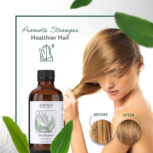 HBNO® California Bottled Eucalyptus Essential Oil for Diffuser 4 fl oz (120ml) - Natural Eucalyptus Oil - Perfect Eucalyptus Oil Essential Oil for...