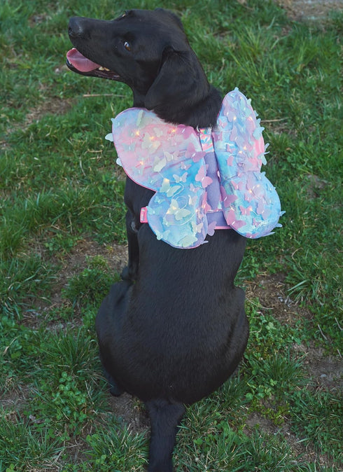 Simplicity Lightly Padded Dog Harness with Wings Sewing Pattern Packet by Carla Reiss, Design Code S9875, Sizes S-M-L, Multicolor...