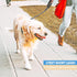 BAAPET 2/4/5/6 FT Dog Leash with Comfortable Padded Handle and Highly Reflective Threads for Small Medium and Large Dogs (2FT-1/2'', Black)...
