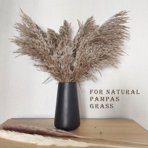 Matte Black Vase - Black Flower vase, 6" Small Simple Modern Ceramic Vases for Flower/Pampas Grass, Minimalist Farmhouse Boho Vase for Centerpiece...