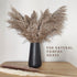 Matte Black Vase - Black Flower vase, 6" Small Simple Modern Ceramic Vases for Flower/Pampas Grass, Minimalist Farmhouse Boho Vase for Centerpiece...