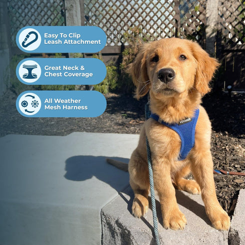 Voyager Step-in Air All Weather Mesh Harness and Reflective Dog 5 ft Leash Combo with Neoprene Handle, for Small, Medium and Large Breed Puppies b...