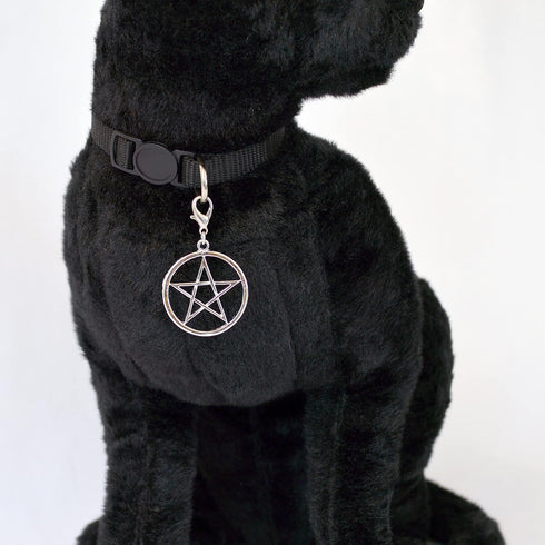 Black Cat Collar with Wiccan Pagan Pentacle Silver Finish On Safety Breakaway Collar Adjustable Neck Size 8 to 12 Inches...