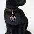 Black Cat Collar with Wiccan Pagan Pentacle Silver Finish On Safety Breakaway Collar Adjustable Neck Size 8 to 12 Inches...