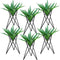 6 Pieces Air Plant Holder Black Metal Tabletop Air Plant Stand Rack Air Fern Display Stand for Home, Office and Wedding Decoration...