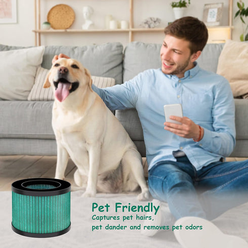 MK01 MK06 Replacement Filter, Compatible with AROEVE MK01 MK06 and Kloudi DH-JH01, Intelabe EPI080/EP1080& Elechomes EPI081/EP1081 Air Purifier, P...
