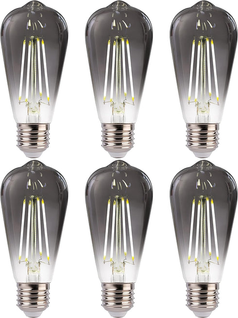 FLSNT LED Edison Bulbs, 5000K White Light Dimmable ST19 LED Light Bulbs, E26 Base,4W(40W Equivalent), CRI82+, 150LM, 6 Pack, Smoky Grey Glass...