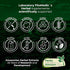 Lab | Lions Mane | 120 Capsules | Lions Mane Supplement | Lions Mane Supplement Capsules | Mushroom Supplement | Ultra high Absorption....