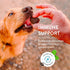 Shameless Pets Soft-Baked Dog Treats, Blueberried Treasure - Natural & Healthy Dog Chews with Mint for Immune Support - Dog Biscuits Baked & Made ...
