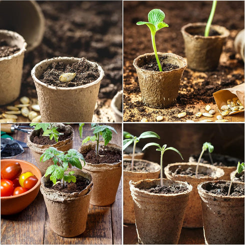 JERIA 50-Pack 3.15 Inch Peat Pots for Seedling with 50 Pcs Plant Labels,Outdoor Garden Germination Nursery Pots,Biodegradable Seed Starter Pots Ki...