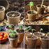 JERIA 50-Pack 3.15 Inch Peat Pots for Seedling with 50 Pcs Plant Labels,Outdoor Garden Germination Nursery Pots,Biodegradable Seed Starter Pots Ki...