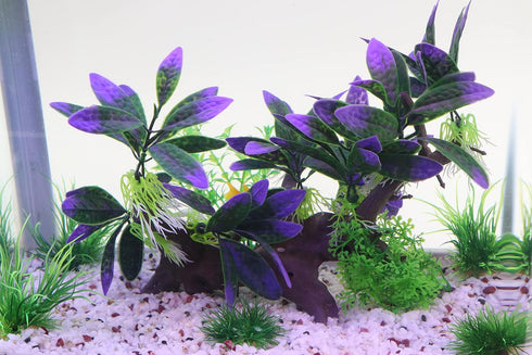 AQUA KT Aquarium Landscape Simulation Artificial Plant Purple, Plastic Plant for Fish Tank Decoration, Aquatic Water Plant, Fish Bowl Ornament...