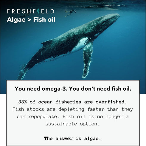 Ocean Saving Omega 3, The Fish Oil Replacement, 2-month Supply, Sustainably Sourced, Highest Levels of DHA per Capsule (440 mg), Algae Oil, w/DPA....