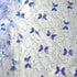Sparkling Color Butterfly Sequin Fabric White Tulle Mesh Embroidered Lace Material Perfect for DIY Crafts and Fashion Projectsor Sewing Dress (2 Y...