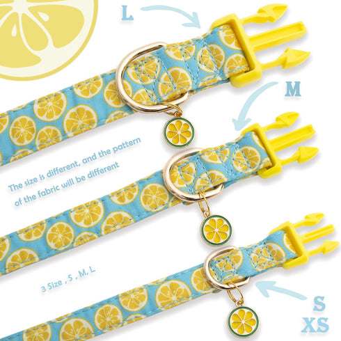Faygarsle Cute Dog Collar for Girls Boy Dogs Soft Fancy Pet Collar with Lemon Design Ideal Yellow Green Summer Dog Collar for Small Medium Large D...