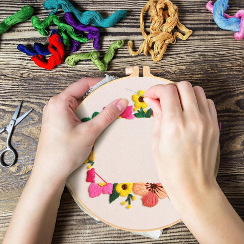 Nuberlic Embroidery Kit for Beginner Adults Starters, Stamped Cross Stitch Gift, Pre-printed DIY Funny Photo Frame Needlepoint Kit, Include Embroi...