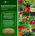 Organic Superfood Greens, Fruit and Veggies Supplement Rich in Vitamins & Antioxidants with Alfalfa, Beet Root & Tart Cherry to Boost Energy, Immu...