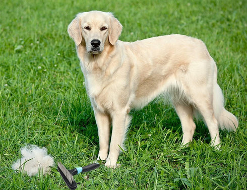 Pet Dematting Undercoat Rake + 2 Pack Dog Pet Bath Grooming Brush - Undercoat Rake Grooming Tool Deshedding Tangles Removing - Shedding Brush Dema...