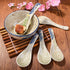 Soup Spoons Set of 5,Asian Soup Spoon Ceramic Ramen Spoons, Japanese Soup Spoons Perfect Depth for Dumpling, Pho, Noodles, Miso, Chinese Wonton, D...