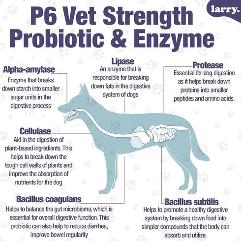 Dog Probiotics and Digestive Enzymes by Larry | 1 Billion CFUs of Probiotics for Dogs | Digestion, Bowel Support, & Gut Health for Dogs | Probioti...