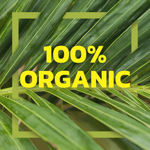 Native Forest Organic Unsweetened Premium Coconut Cream – Canned Coconut Cream, Heavy Cream, Coconut Whipped Cream, Dairy Free, Non-GMO Project ...
