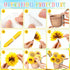 Summer Bulletin Board Decorations Set 3D Sunflowers Cutouts Bicycle Butterfly Leaves Paper Cutouts Classroom Decorations for Preschool Summer Home...