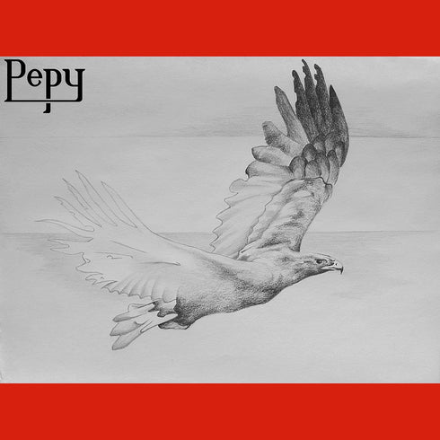 Pepy Aero Graphite Professional Drawing Pencils - Set of 12 3H Pre-Sharpened Black Lead Pencils; Perfect for Drawing, Sketching and Shading, Graph...