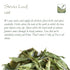 Stevia Leaves Organic Dried - Stavia Leaf Stevia Leaf Dry Stevia Leaves Leaf Stevia Organic Stevia Leave...