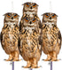 Fake Owls to Keep Birds Away, Bird Scare Device, Bird Scarer, Cardboard Hanging Reflectors, Flat Paper Garden Owls Scare Pigeons Woodpeckers Roden...