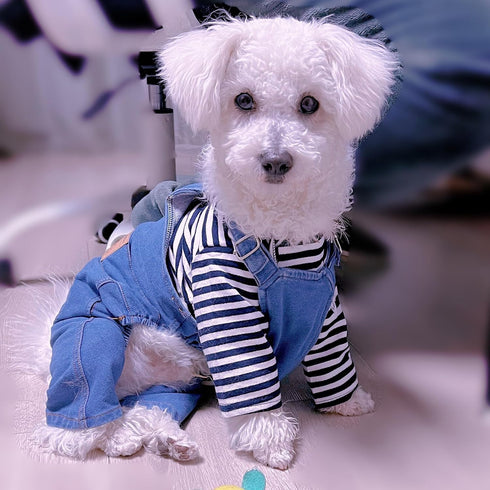 1 Piece of Dog Denim Shirts Puppy Jean Jacket Sling Jumpsuit Costumes Pet Jean Overalls Dog Pants Outfits for Small Puppy Cat Pets (Blue, Small)...