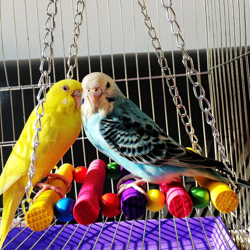 BWOGUE Bird Swing Toys with Bells Pet Parrot Cage Hammock Hanging Toy Perch for Budgie Love Birds Conures Small Parakeet Finches Cockatiels (5 Pac...