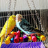 BWOGUE Bird Swing Toys with Bells Pet Parrot Cage Hammock Hanging Toy Perch for Budgie Love Birds Conures Small Parakeet Finches Cockatiels (5 Pac...