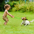 Dog Squeak Toys Dogs Enrichment Treat Dispensing Puzzle Toys Interactive Dog Toys for Large Medium Small Dogs...
