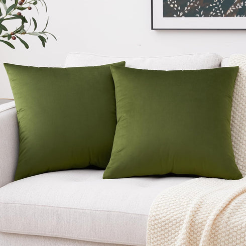 Mixhug Set of 2 Cozy Velvet Square Decorative Throw Pillow Covers for Couch and Bed, Moss Green, 18 x 18 Inches...