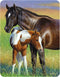 3D LiveLife Magnet - Mare & Foal from Deluxebase. Lenticular 3D Horse Fridge Magnet. Magnetic Decor for Kids and Adults with Artwork Licensed from...