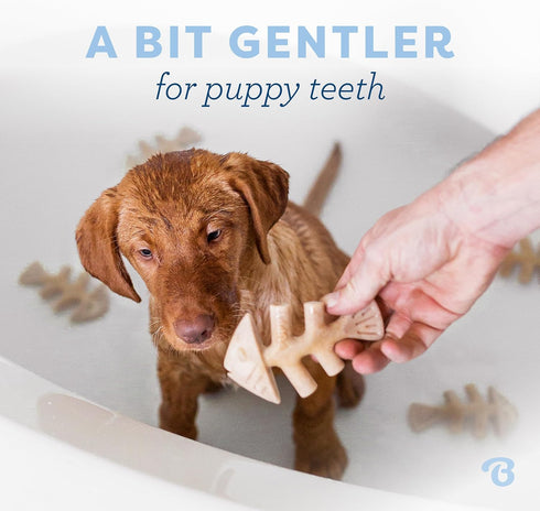 Benebone Puppy Fishbone Dog Chew Toys, Softer for Modest Chewers, Made in USA...