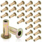 25Pcs Steel Multi Grip Rivet Nuts Pre Bulbed Shank Zinc-Plated Flat Head Threaded Insert Nut Construction Fasteners for Industrial (1/4-20)...