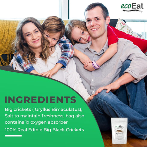 Edible Insects Big Black Crickets to Eat – Edible Bugs Edible Dehydrated Crickets - Snack Food Gifts (15g)...