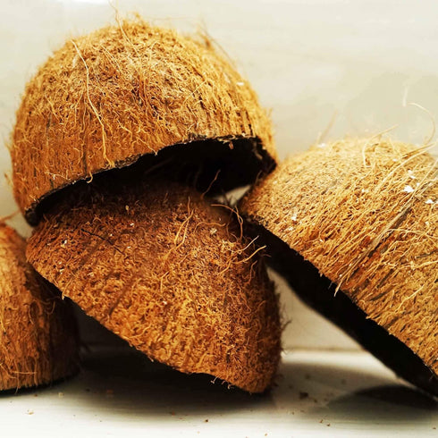 Natural Coconut Bowl Halves Coconut Shell for handicraft or pet feeder and candle maker and Christmas and Halloween decorations (2, with fiber)...