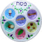 Cazenove Passover Seder Plates (10 Pack) 10" Heavy Duty Quality Plastic Disposable Plates....