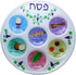 Cazenove Passover Seder Plates (10 Pack) 10" Heavy Duty Quality Plastic Disposable Plates....