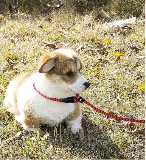 8FT Slip Lead Dog Leash, 1/3” Strong Rope Dog Leash, Adjustable No- Pull Small Dog Leash for Puppy, Small and Medium Pets...