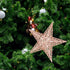 BinaryABC Christmas Tree Topper Star,Glittering Christmas Tree Decoration Ornaments,20cm (Rose Gold)...